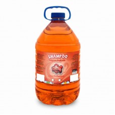 9064 - SHAMPOO LIMPEZA PROFUNDA 5 LITROS