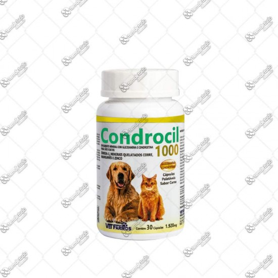 CONDROCIL 1000 C/30 CAPSULAS 1920MG