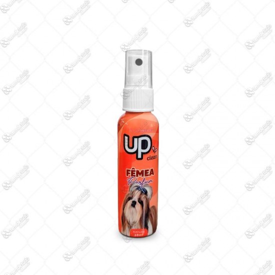 PERFUME UP CLEAN FEMEA 60ML