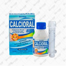 17088 - CALCIORAL B12 100ML