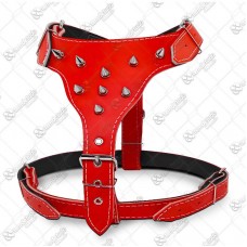 9269 - PEITORAL COURO C/CRAVO PIT BULL VERMELHO