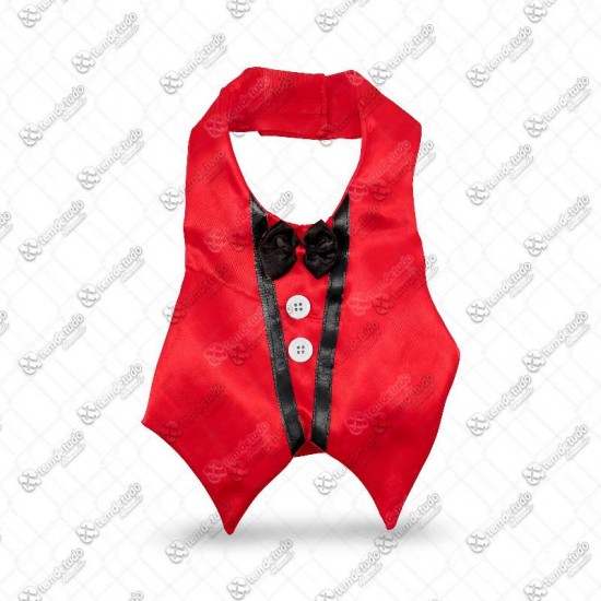 ROUPA COLETE PAPAI NOEL P