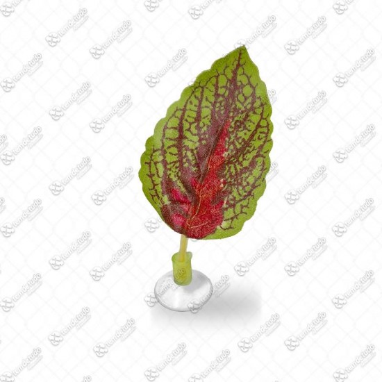 PLANTA P/AQUARIO CAMINHA DE BETTA