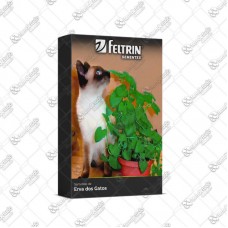 20190 - SEMENTE ERVA DOS GATOS 100MG C/20